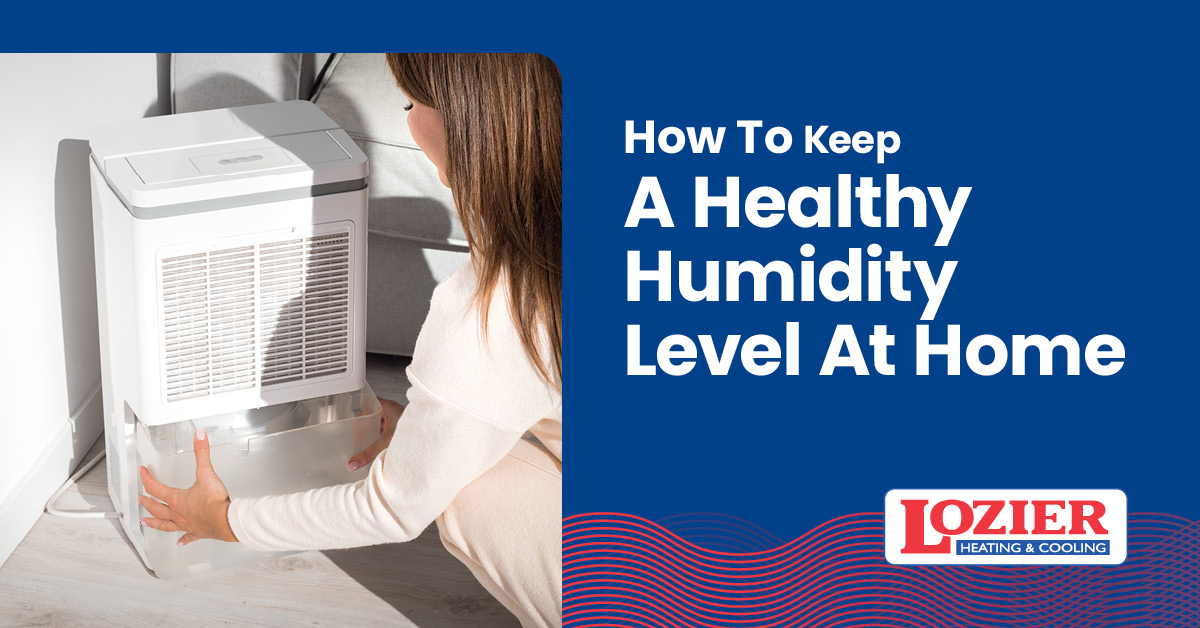 Helpful Tips for Changing a Room's Humidity Levels.